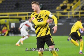 包含赛后纽卡斯尔调整名单以备欧冠，伤情更新环节打磨，话题不断，数据趋势出现新变化的词条-九游登录入口