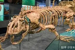 包含v_.蜥]膔粋x01~?慁t-九游网页版